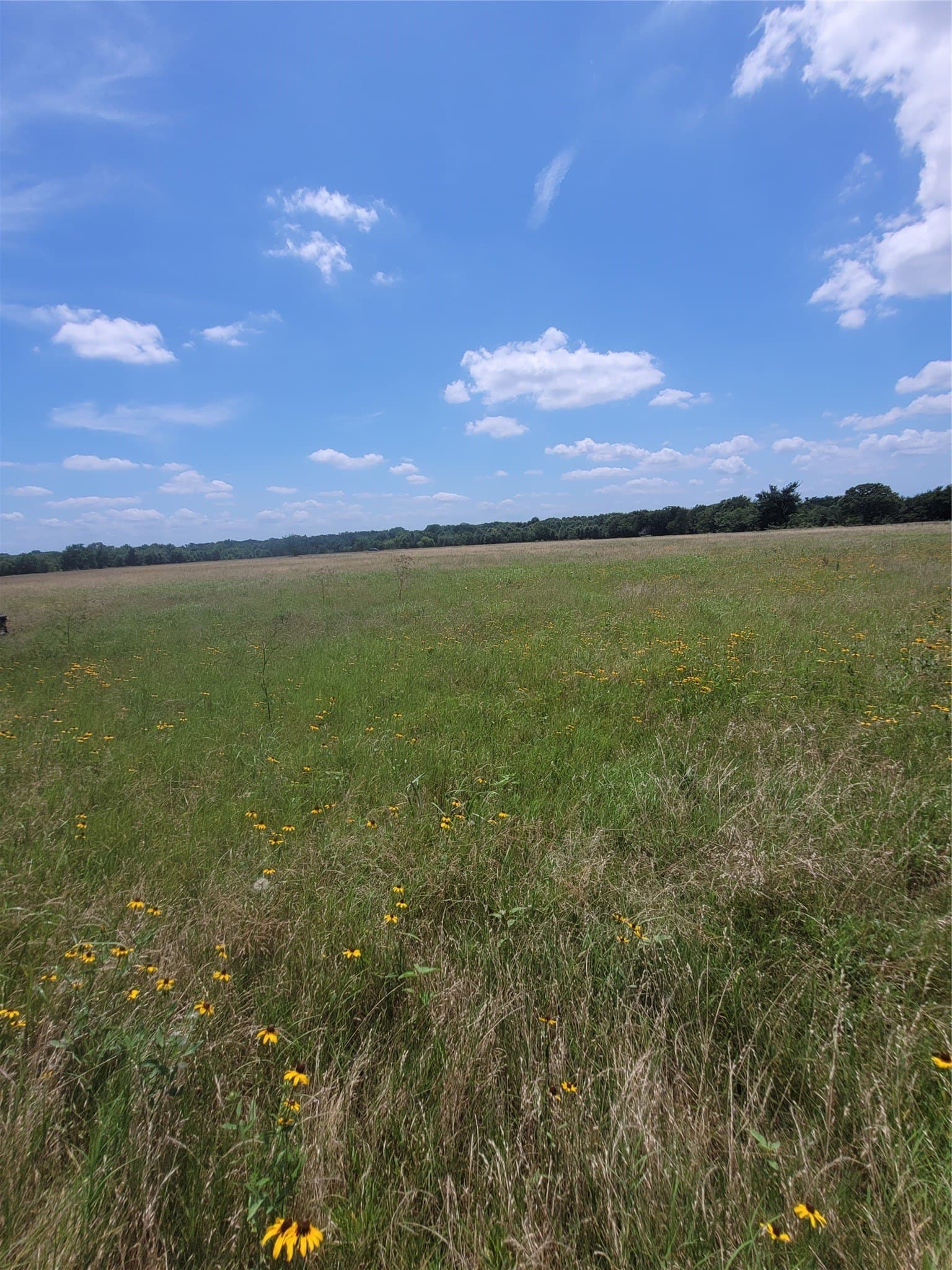 4 acres in Hopkins County - photo 2