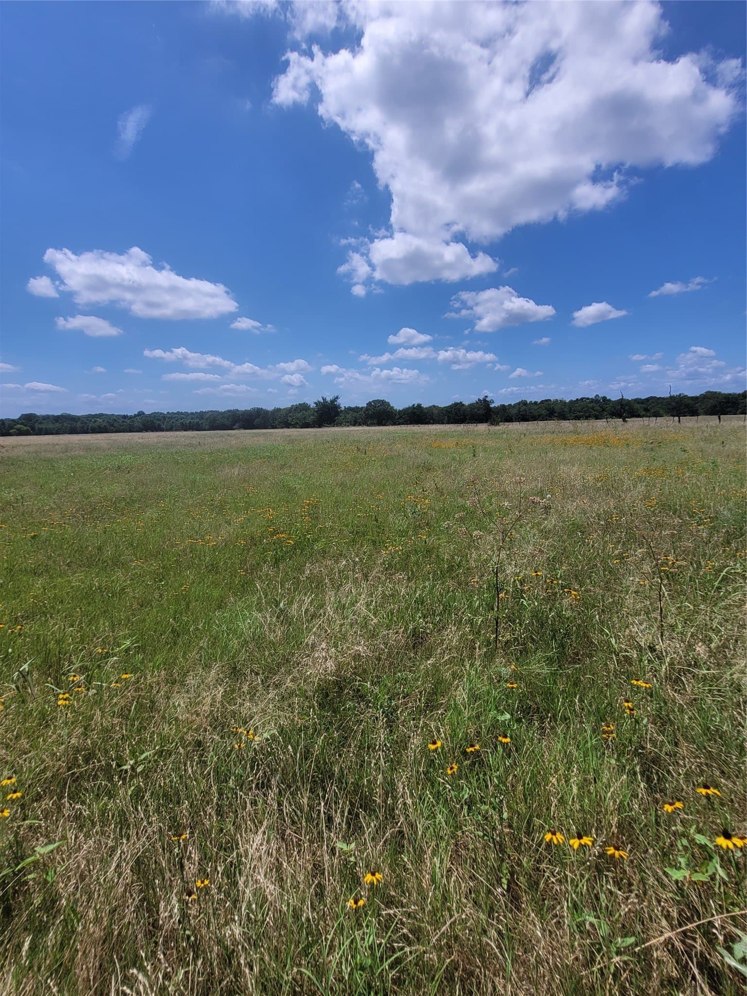 4 acres in Hopkins County - photo 4