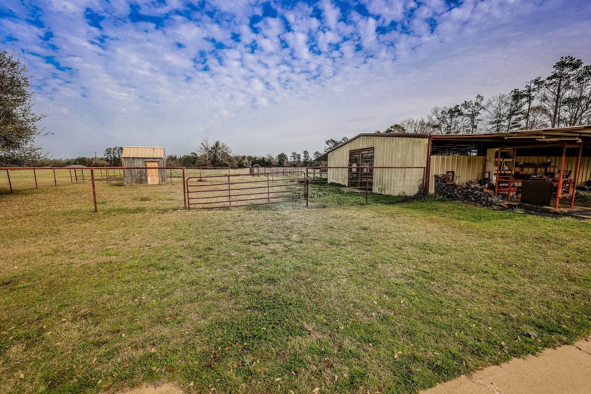 26 acres in Panola County - photo 31