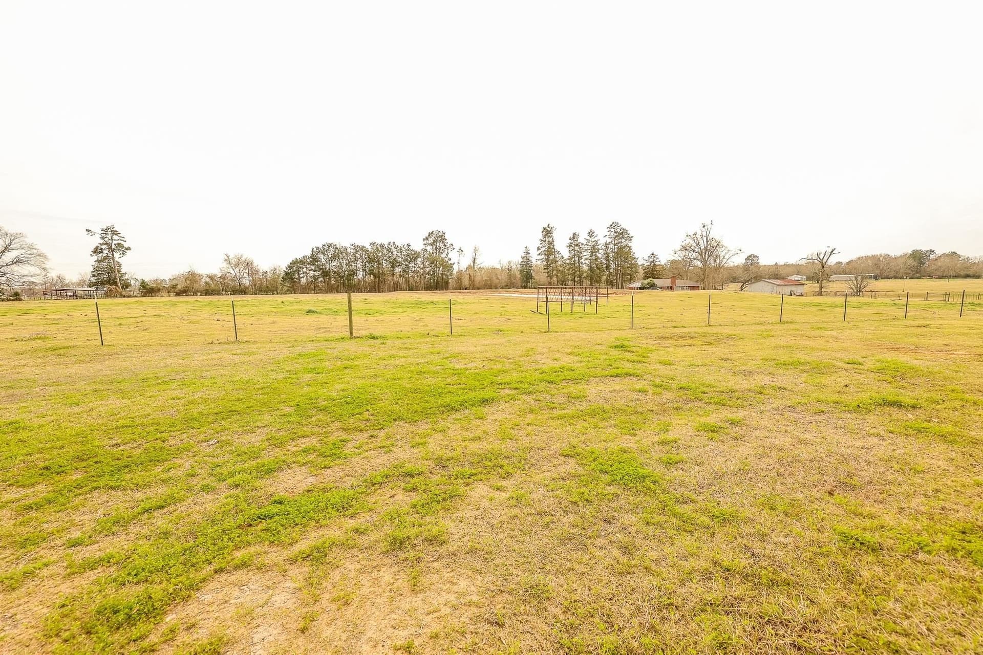 26 acres in Panola County - photo 22