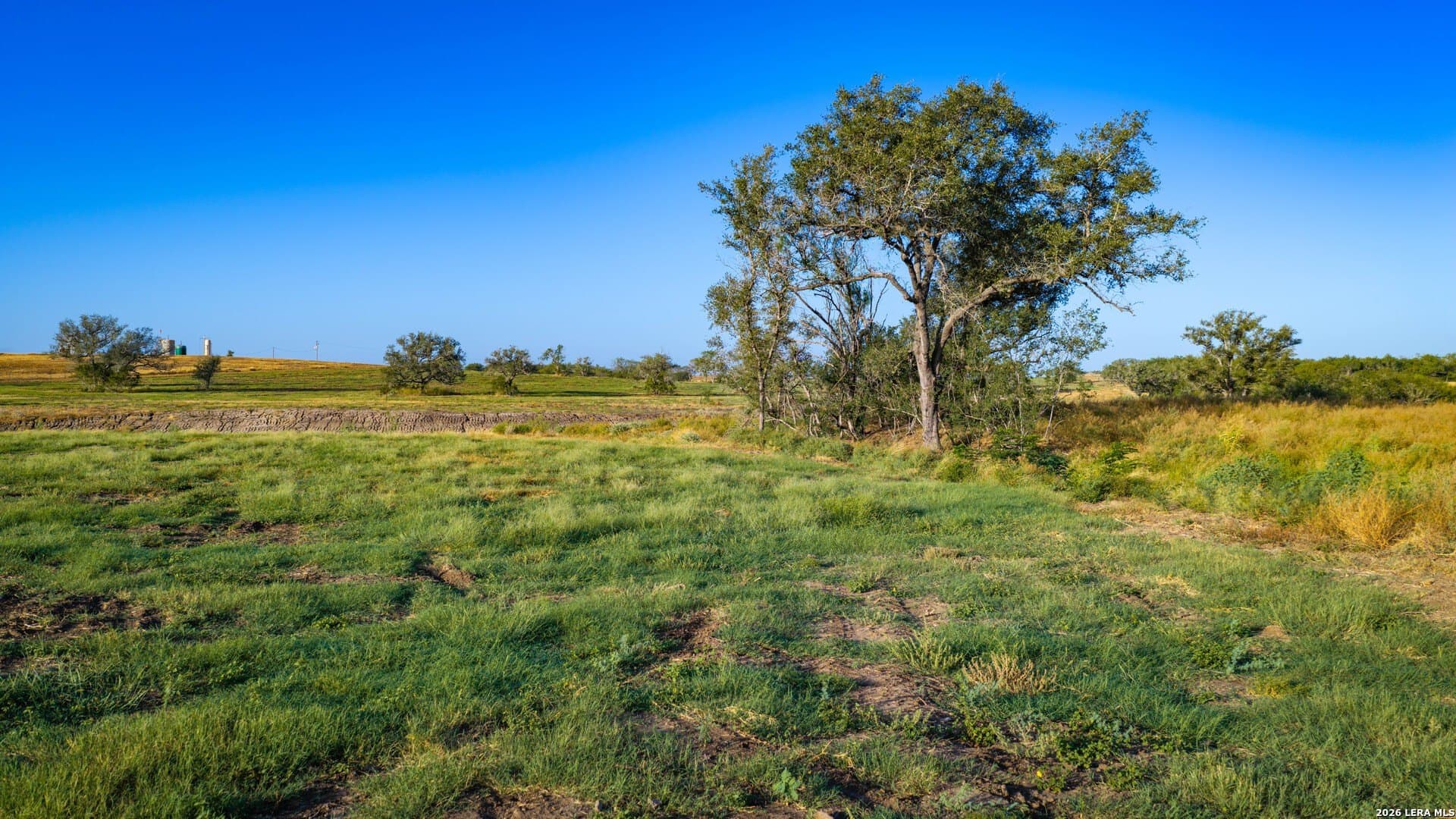 112.28 acres in Wilson County - photo 21