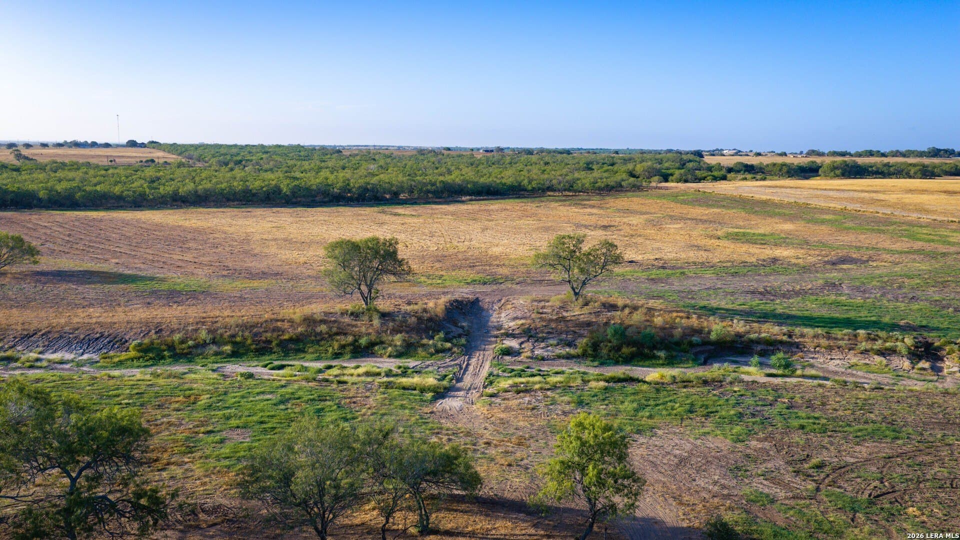 112.28 acres in Wilson County - photo 20