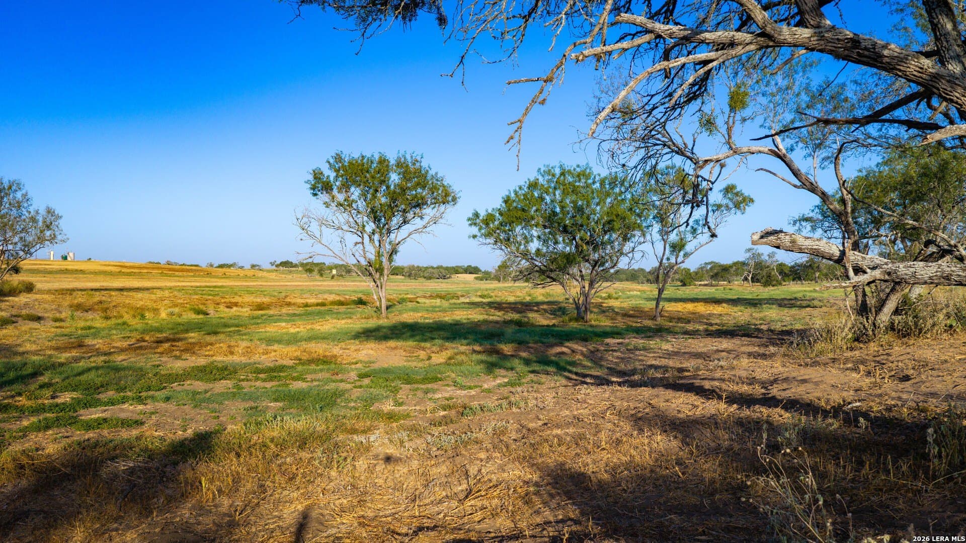 112.28 acres in Wilson County - photo 15