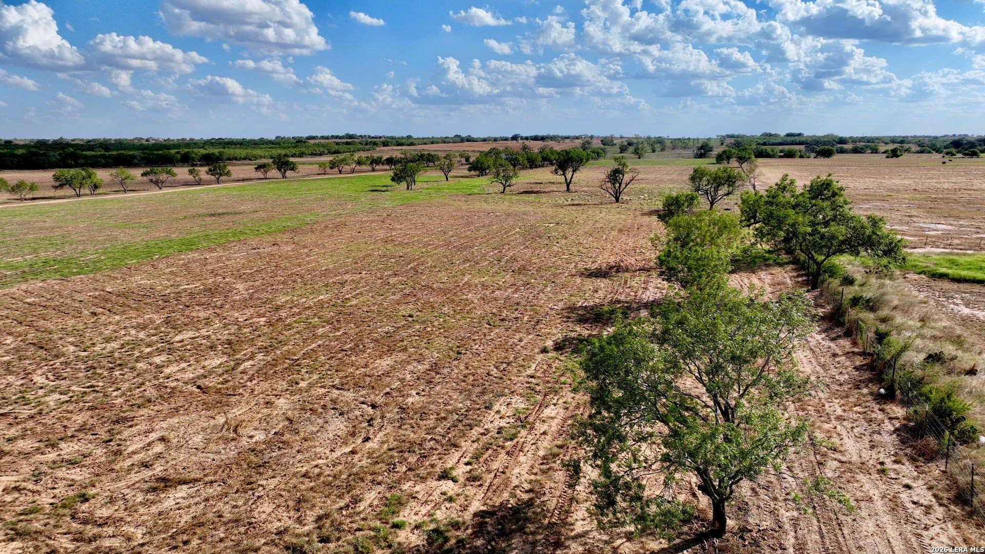 112 acres in Wilson County - photo 6
