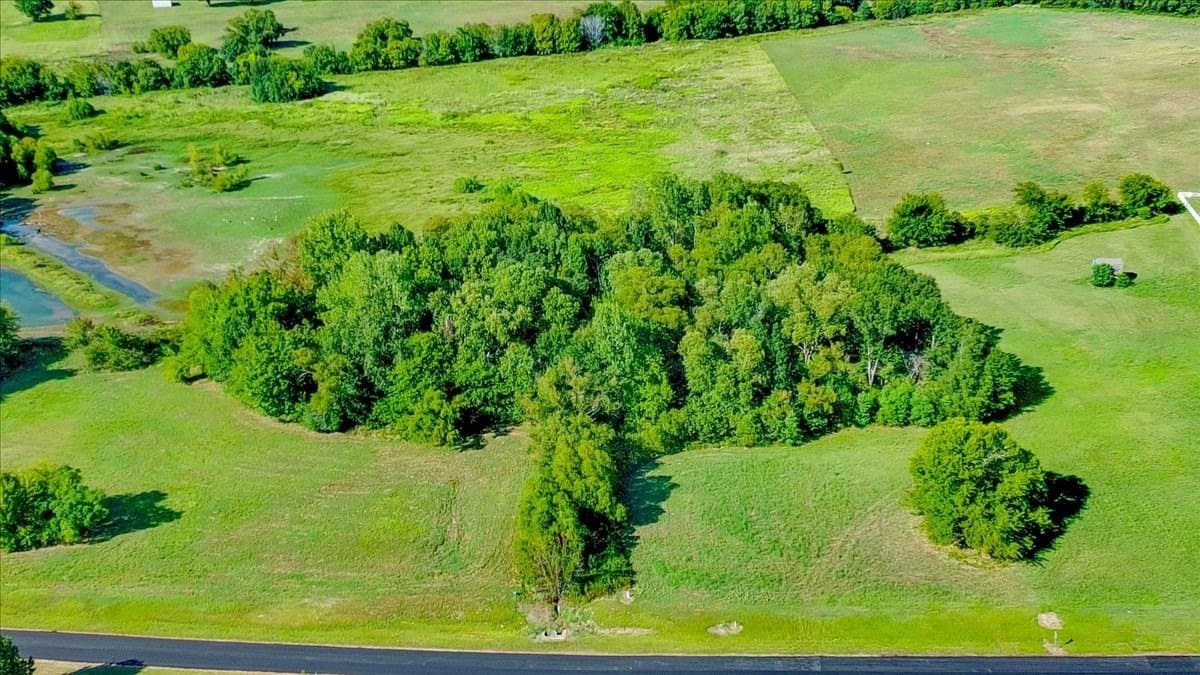 6.29 acres in Henderson County - photo 6