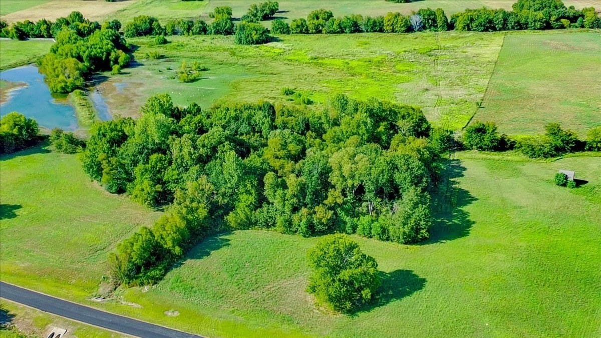 6.29 acres in Henderson County - photo 7