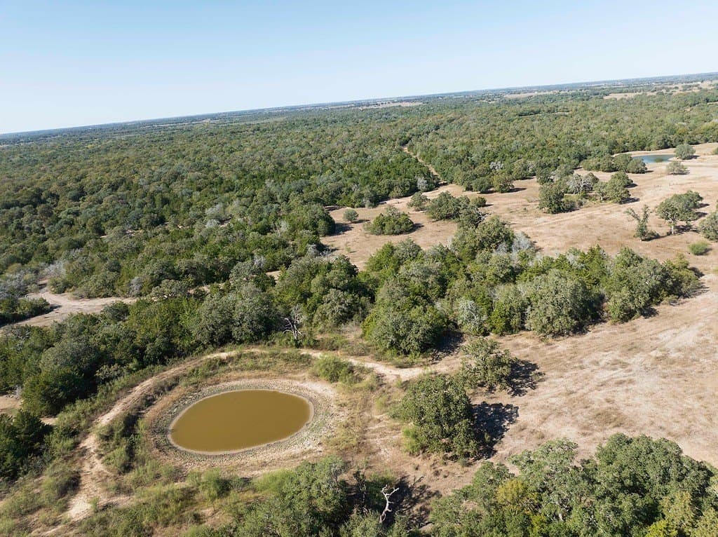 81.92 acres in Lavaca County gallery image 3