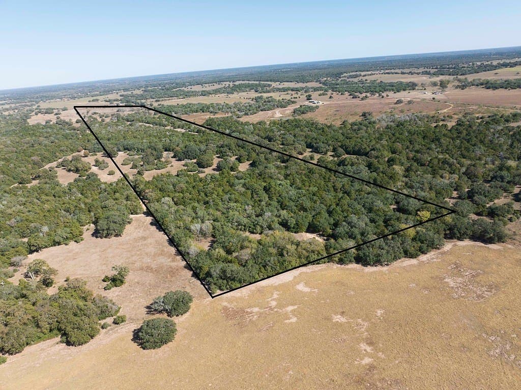 81.92 acres in Lavaca County gallery image 2