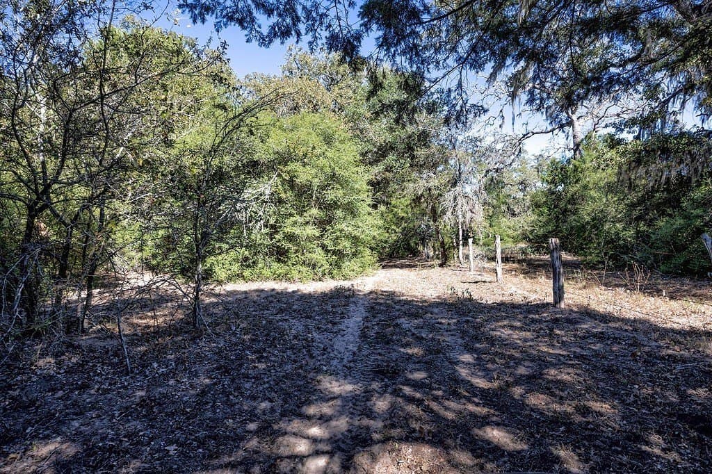 81.92 acres in Lavaca County featured view