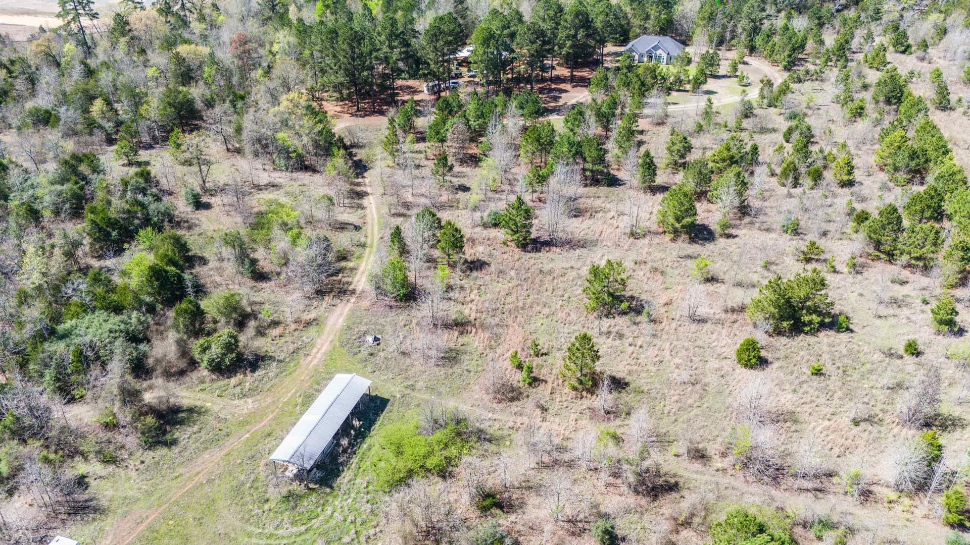 15.84 acres in Upshur County gallery image 3