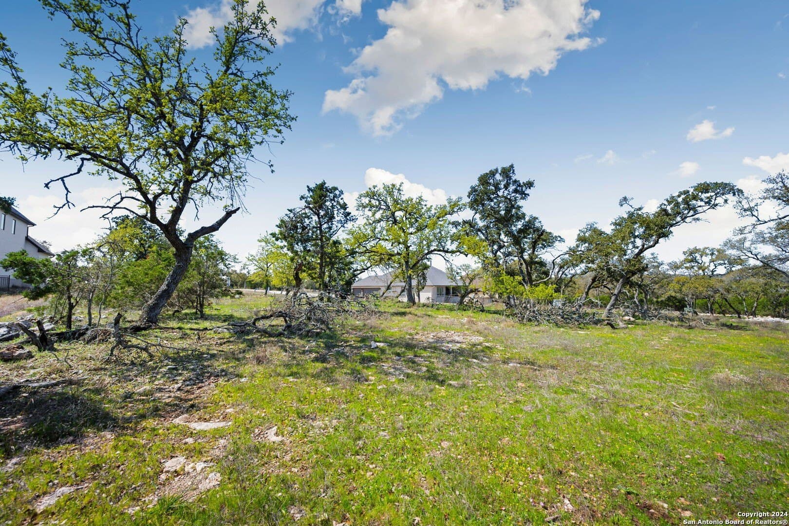 1.03 acres in Comal County gallery image 2