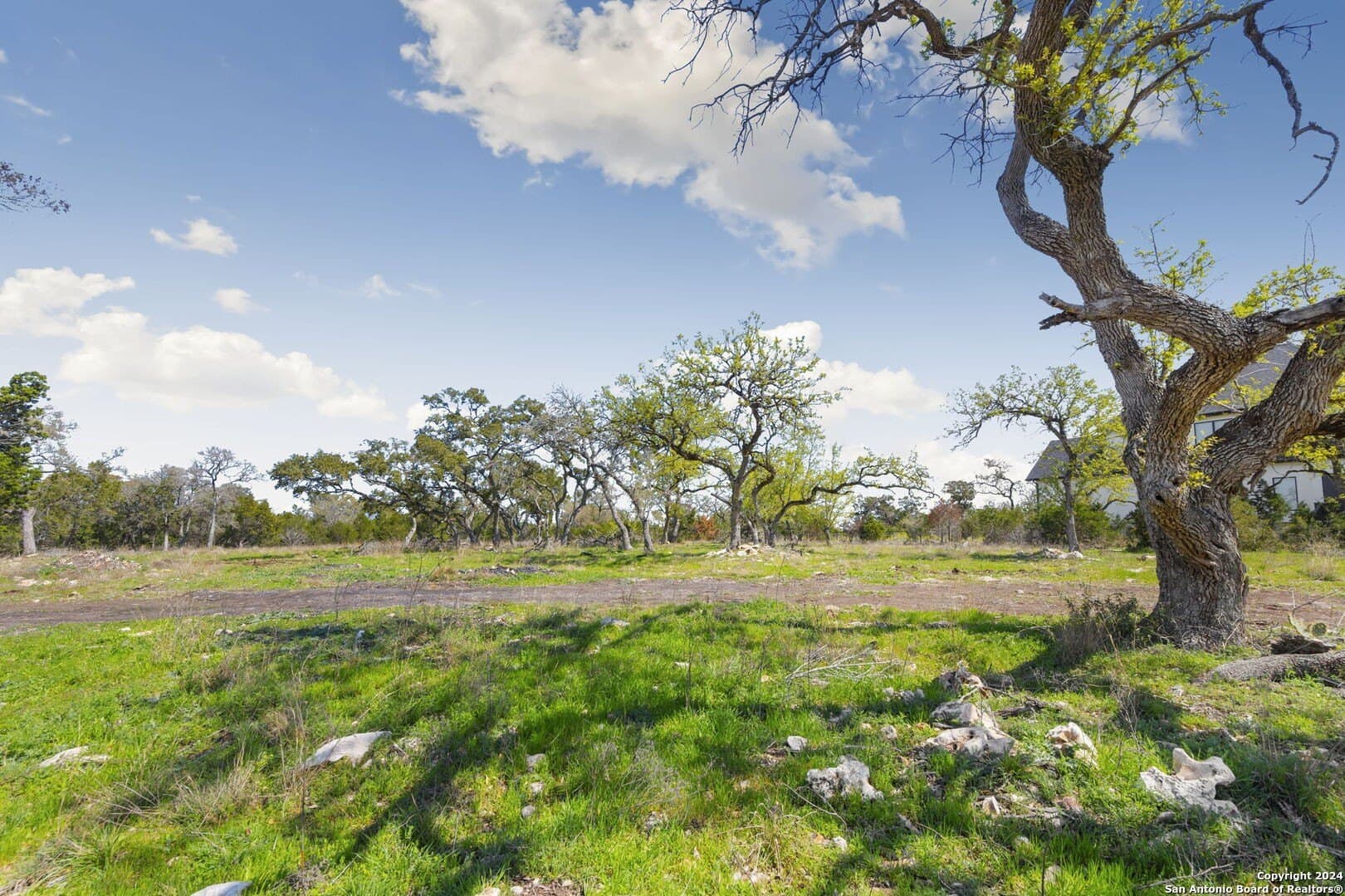 1.03 acres in Comal County featured view