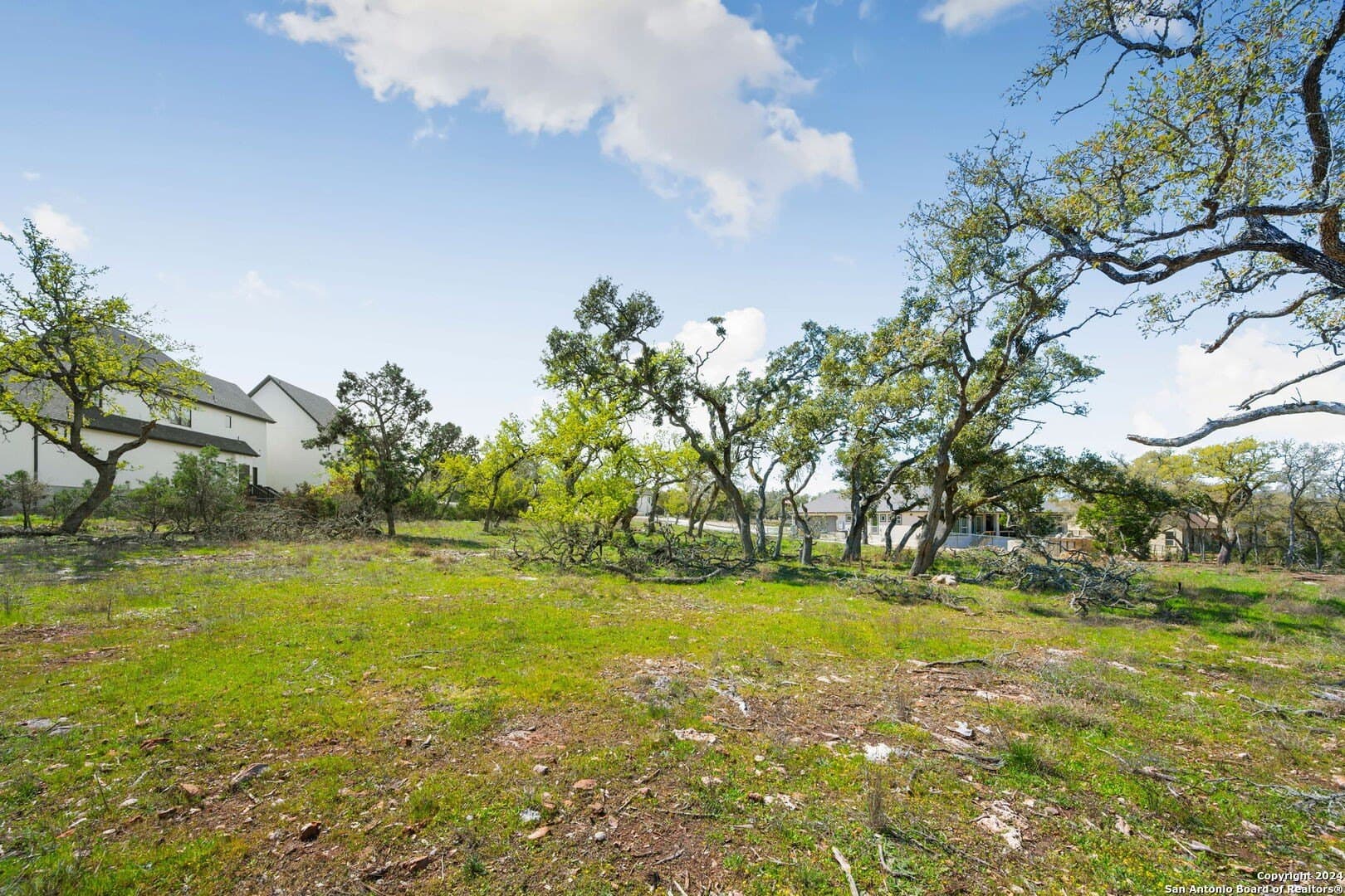 1.03 acres in Comal County gallery image 3