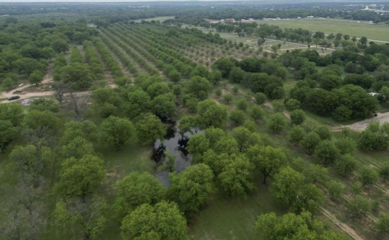 85.11 acres in San Saba County - photo 16