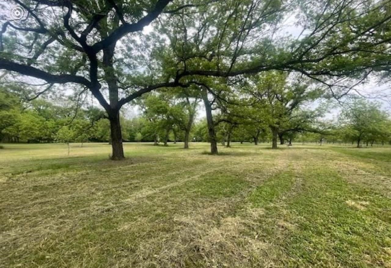85.11 acres in San Saba County - photo 19