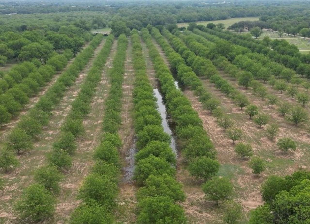 85.11 acres in San Saba County - photo 17