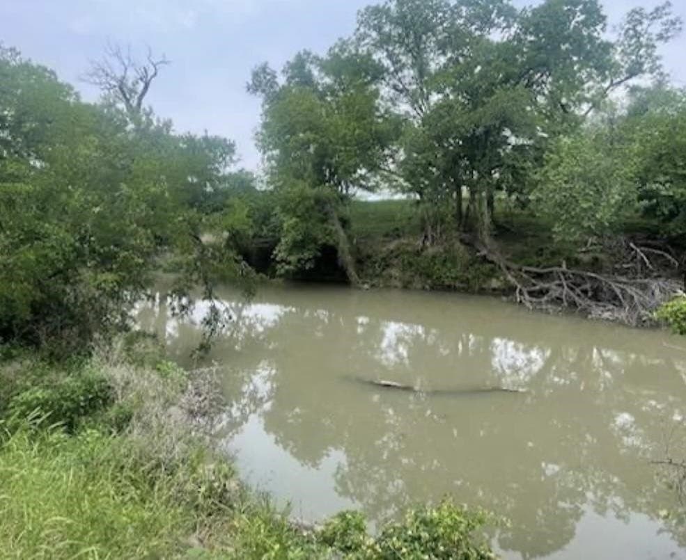 85.11 acres in San Saba County gallery image 2