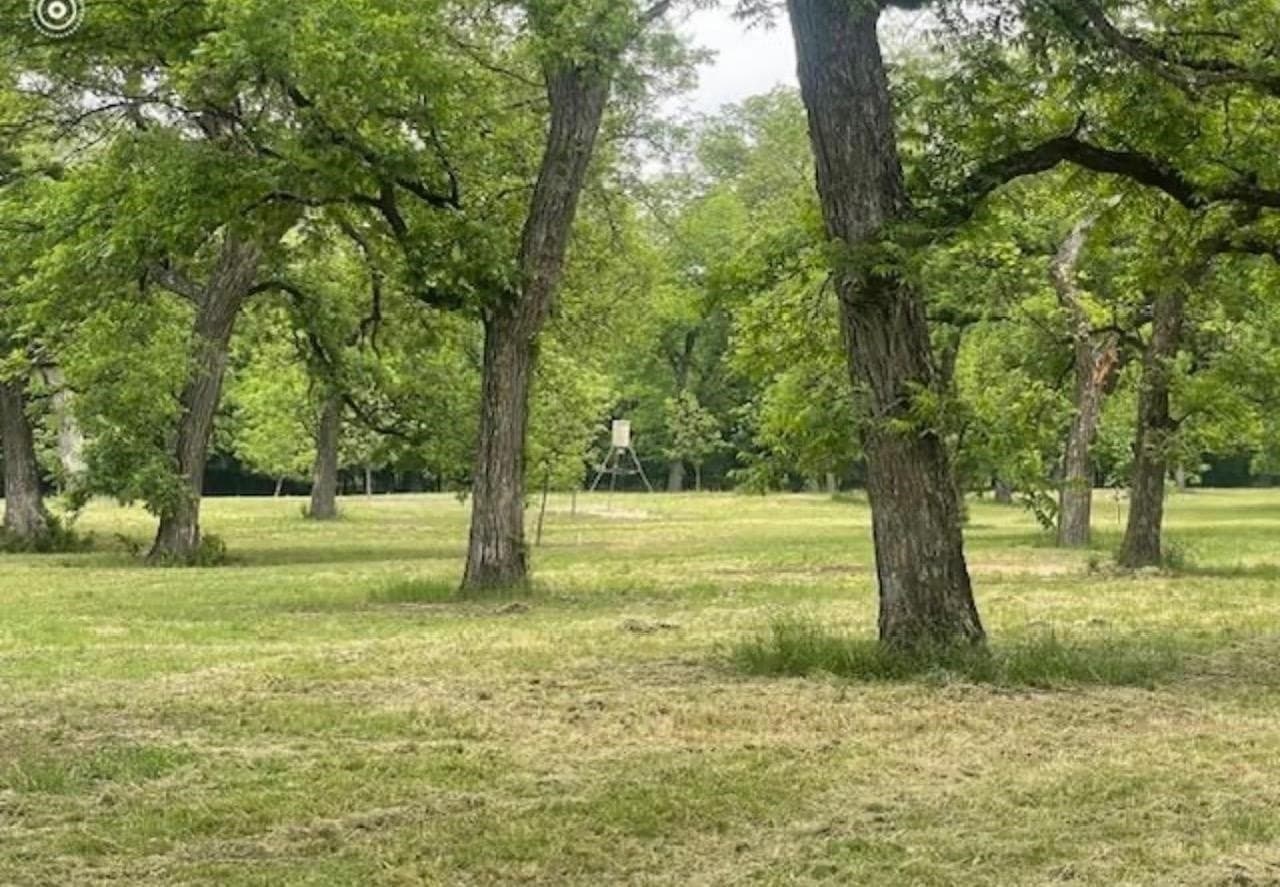 85.11 acres in San Saba County - photo 14