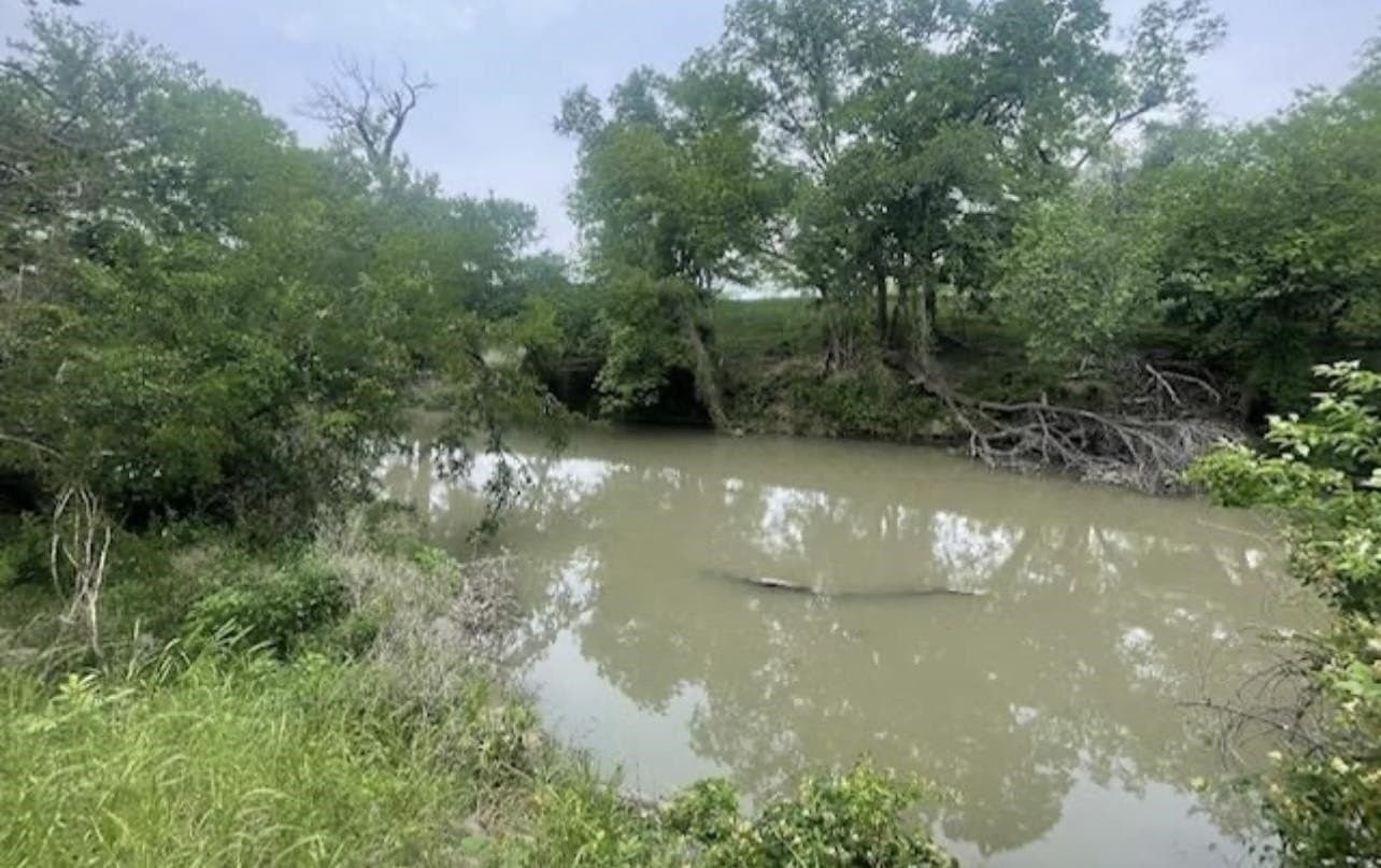 85.11 acres in San Saba County - photo 15