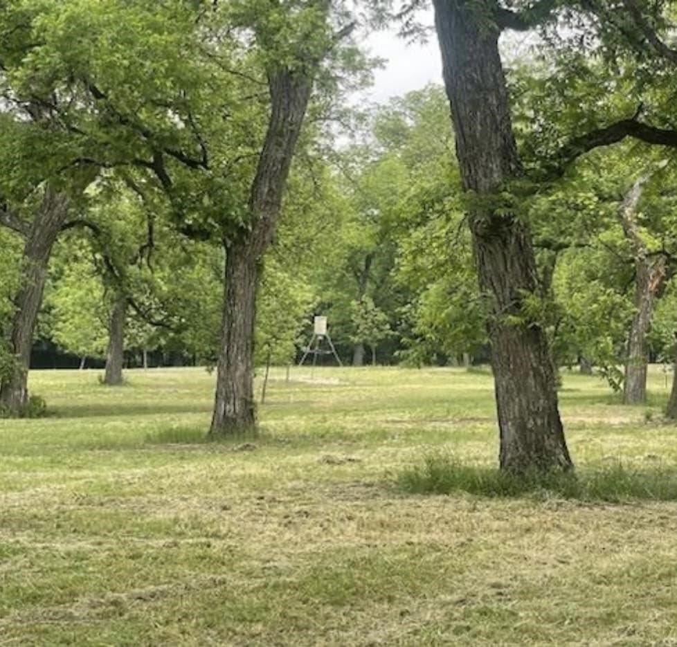 85.11 acres in San Saba County gallery image 3