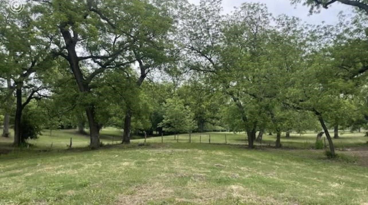 85.11 acres in San Saba County - photo 18