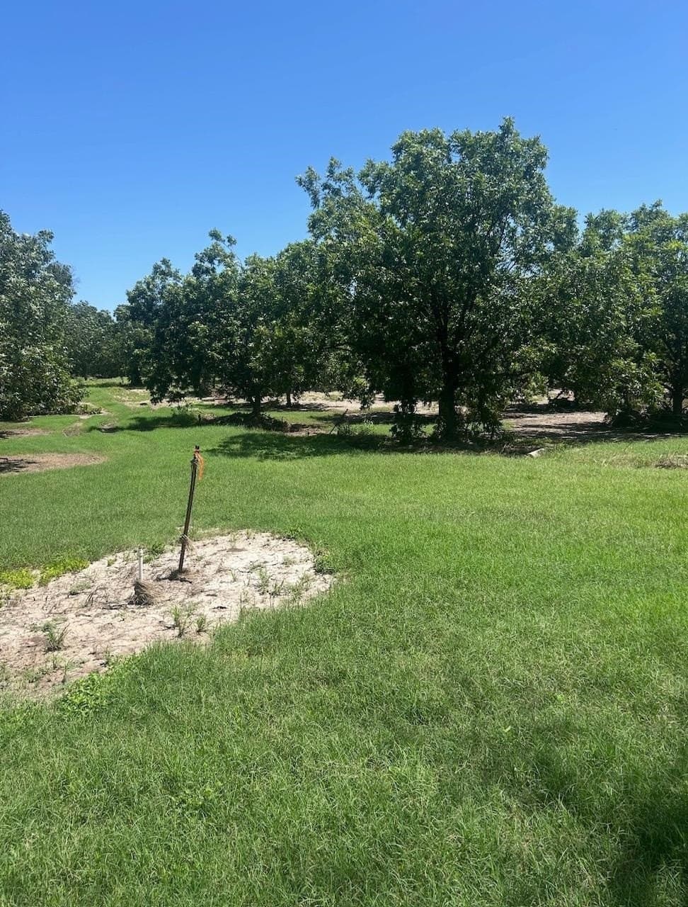 85.11 acres in San Saba County - photo 7