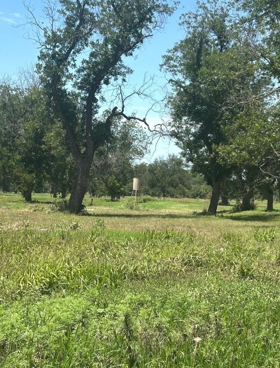 85.11 acres in San Saba County - photo 11