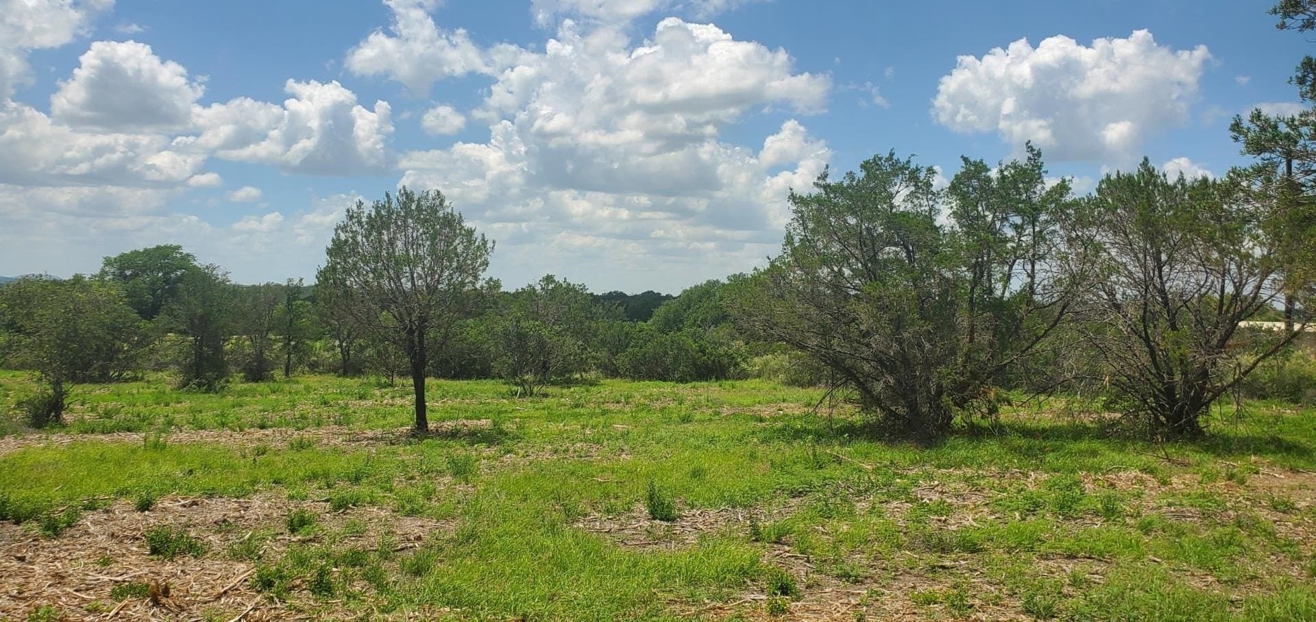 3.2 acres in Llano County - photo 7