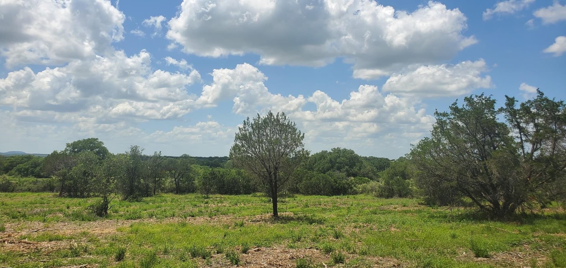 3.2 acres in Llano County - photo 12
