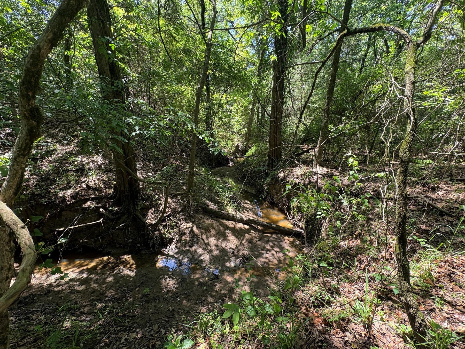 25 acres in Hopkins County - photo 6