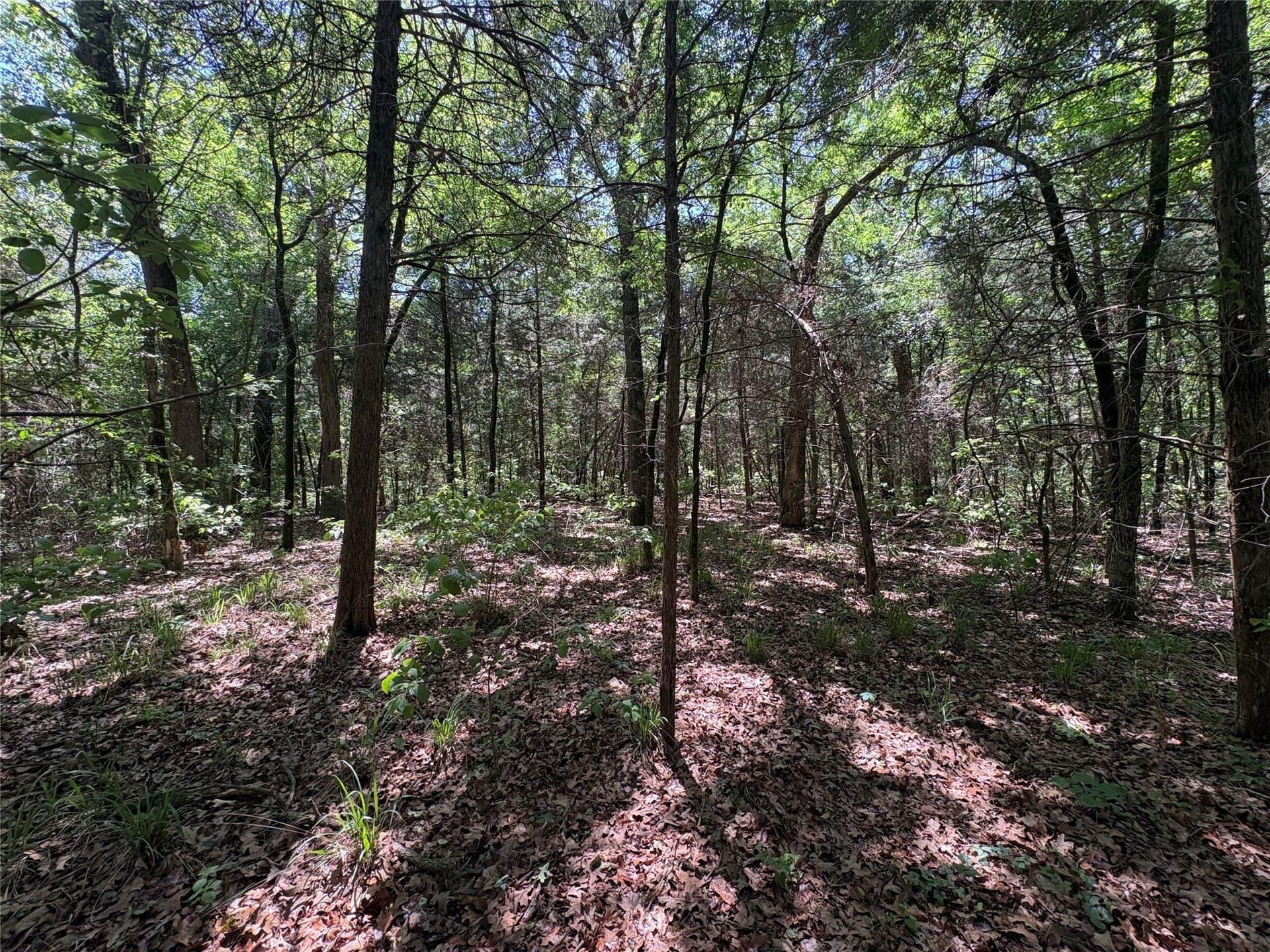 25 acres in Hopkins County - photo 13
