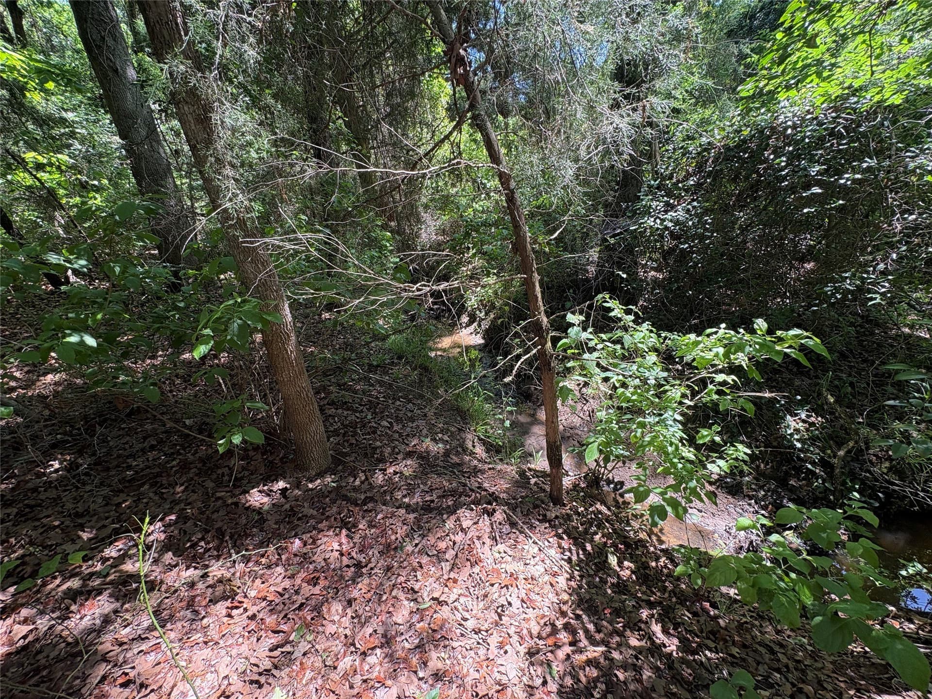 25 acres in Hopkins County - photo 8