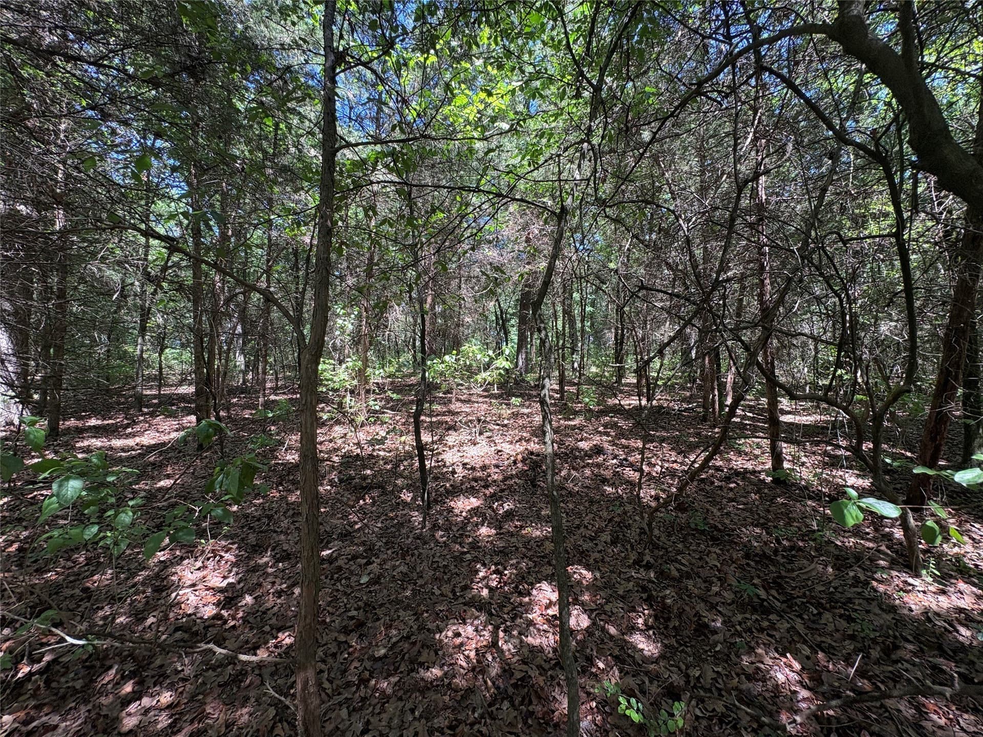 25 acres in Hopkins County - photo 7