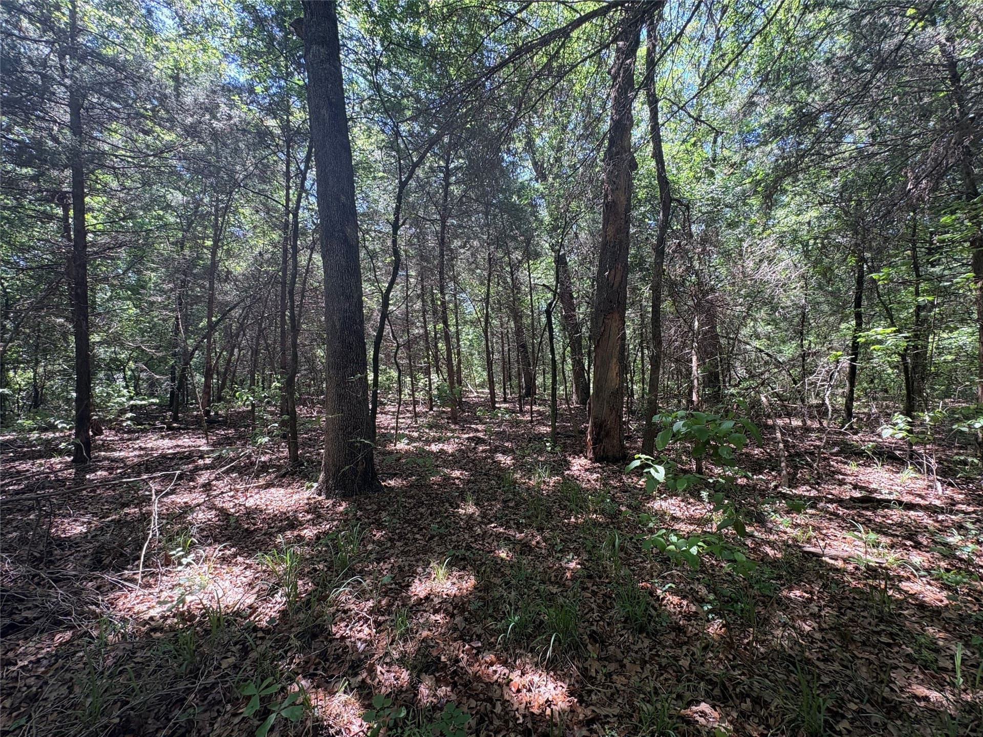 25 acres in Hopkins County - photo 11