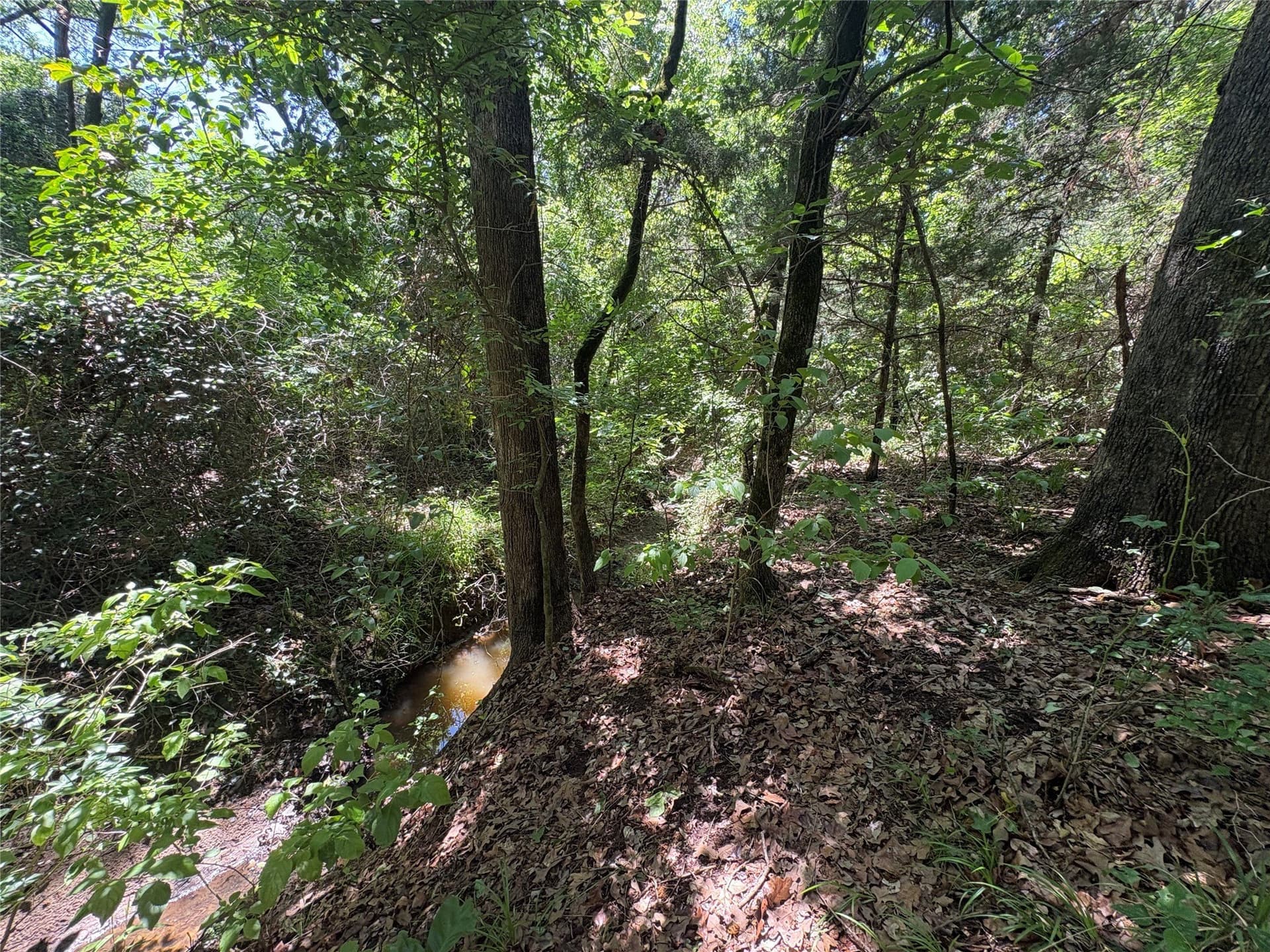 25 acres in Hopkins County - photo 10