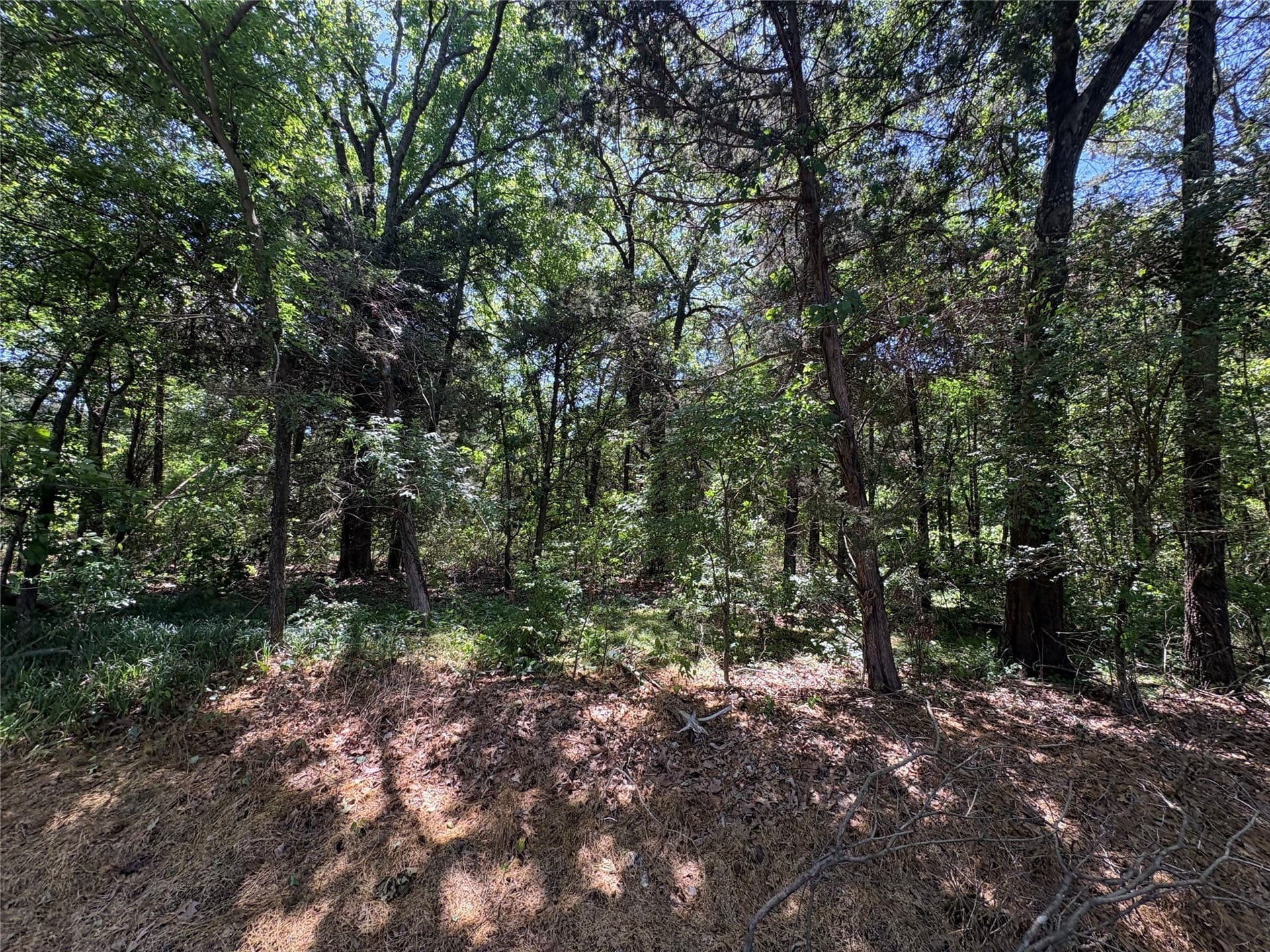 25 acres in Hopkins County - photo 15