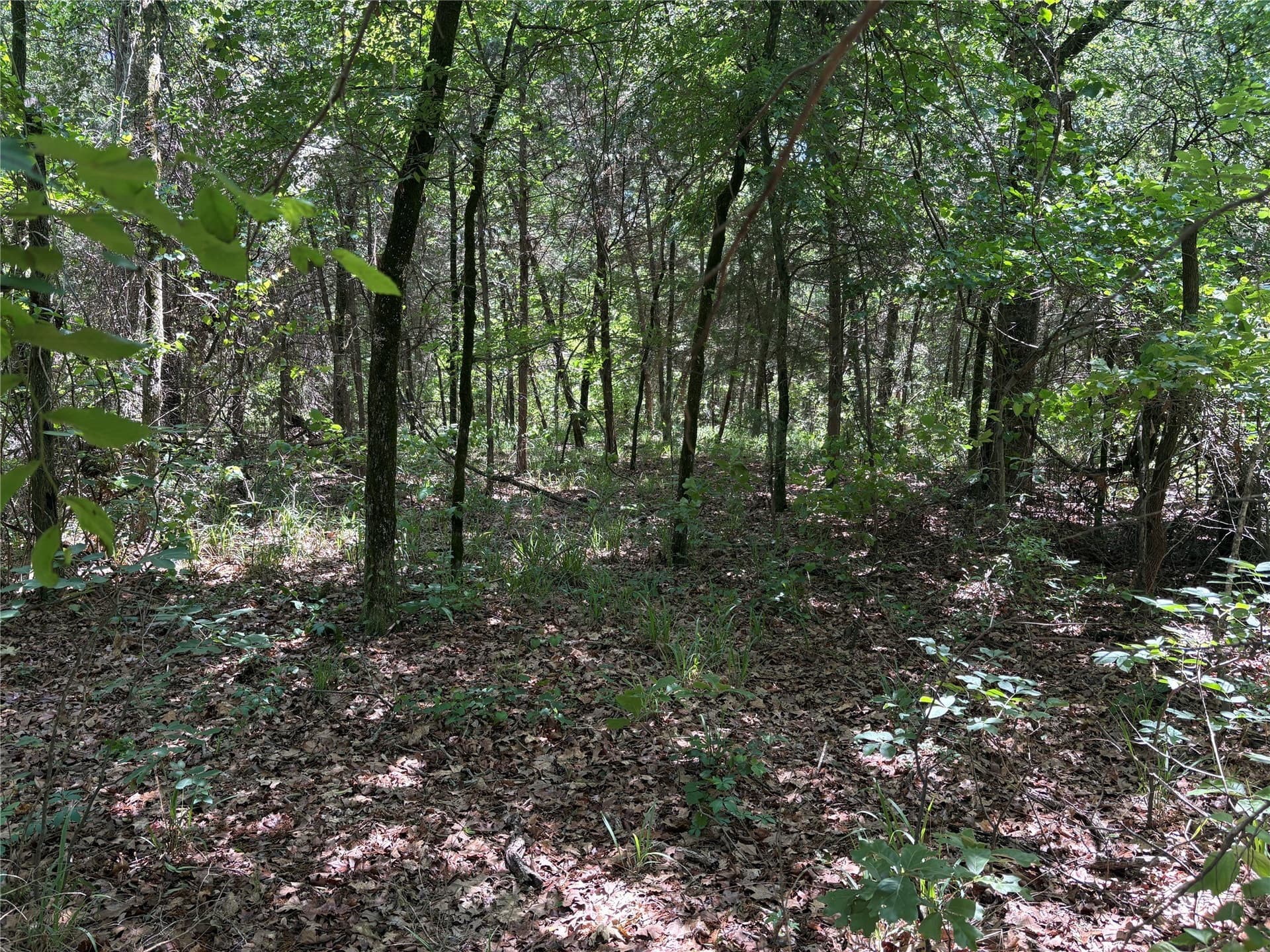 25 acres in Hopkins County - photo 14