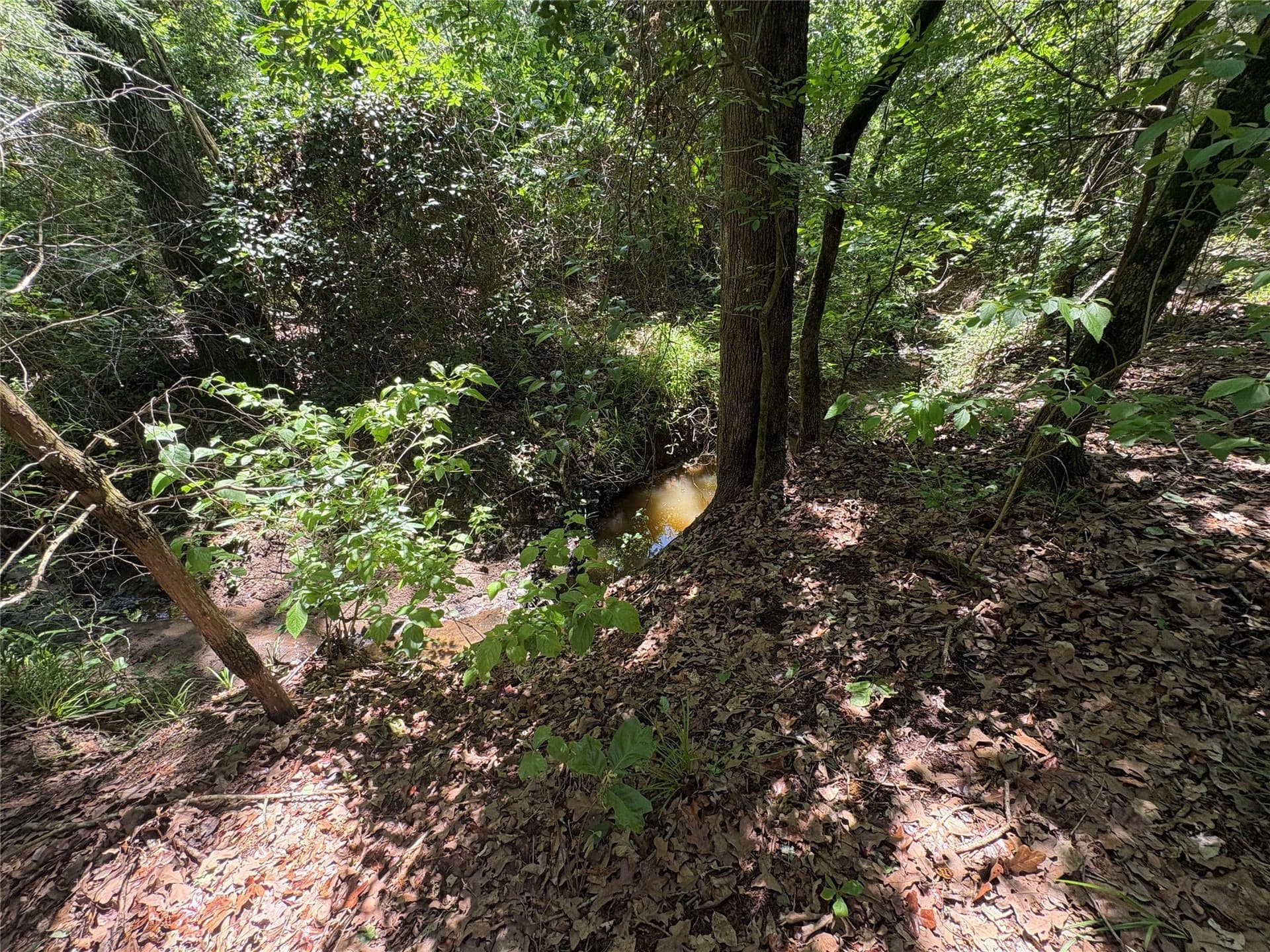 25 acres in Hopkins County - photo 9