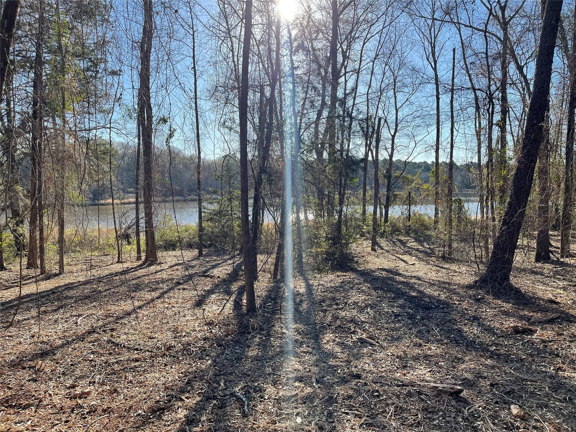 1.05 acres in Wood County - photo 29