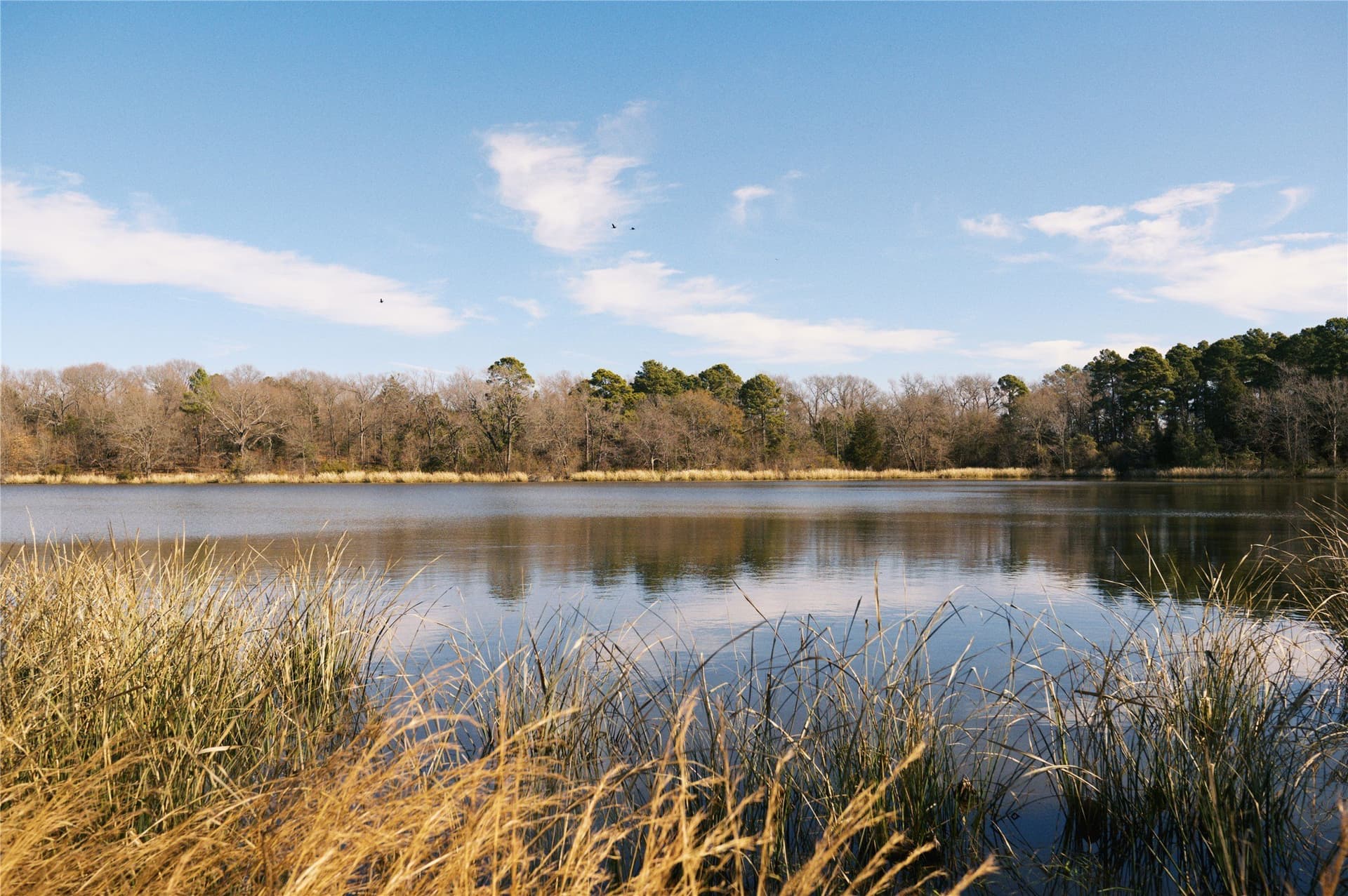 1.05 acres in Wood County - photo 5