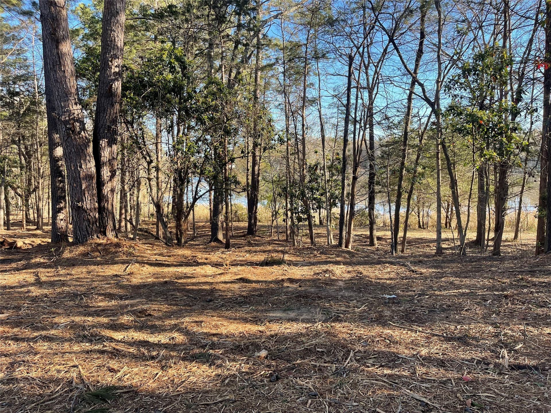 1.05 acres in Wood County - photo 23