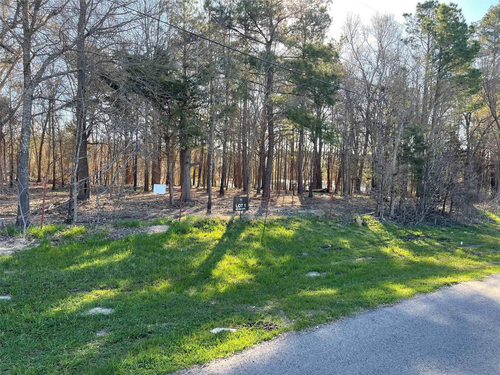 1.05 acres in Wood County - photo 33