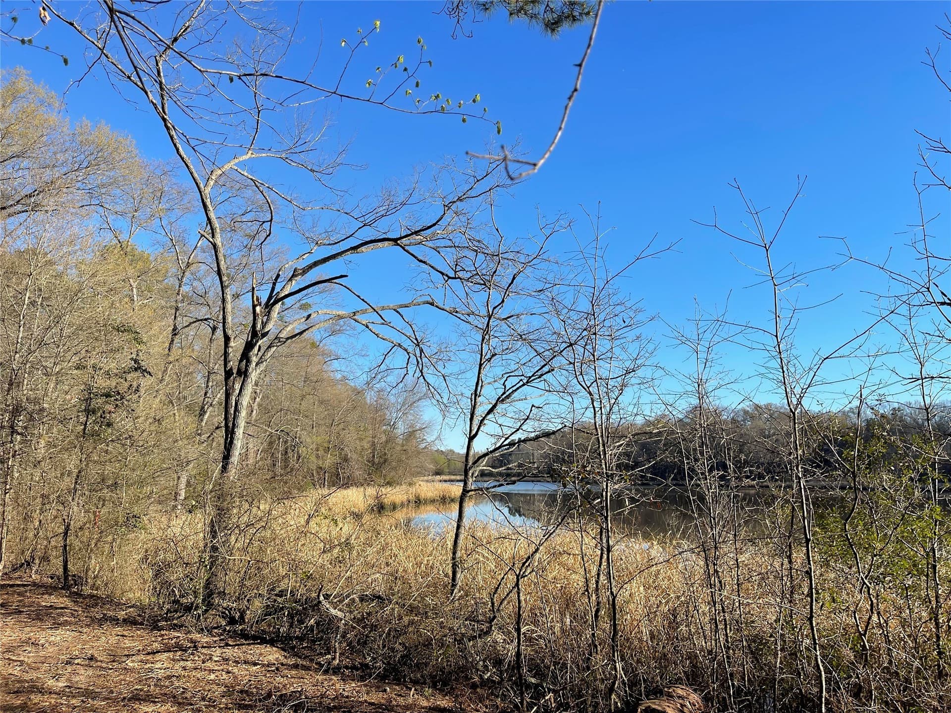 1.05 acres in Wood County - photo 9