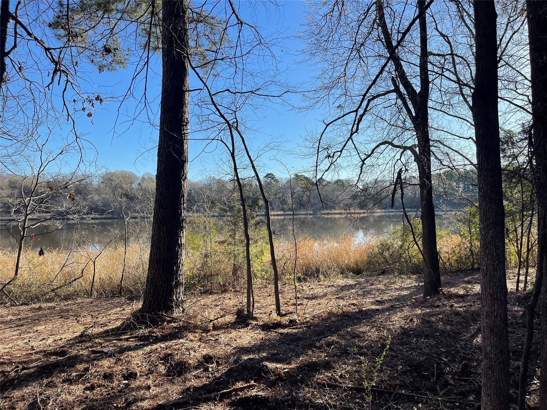 1.05 acres in Wood County - photo 25