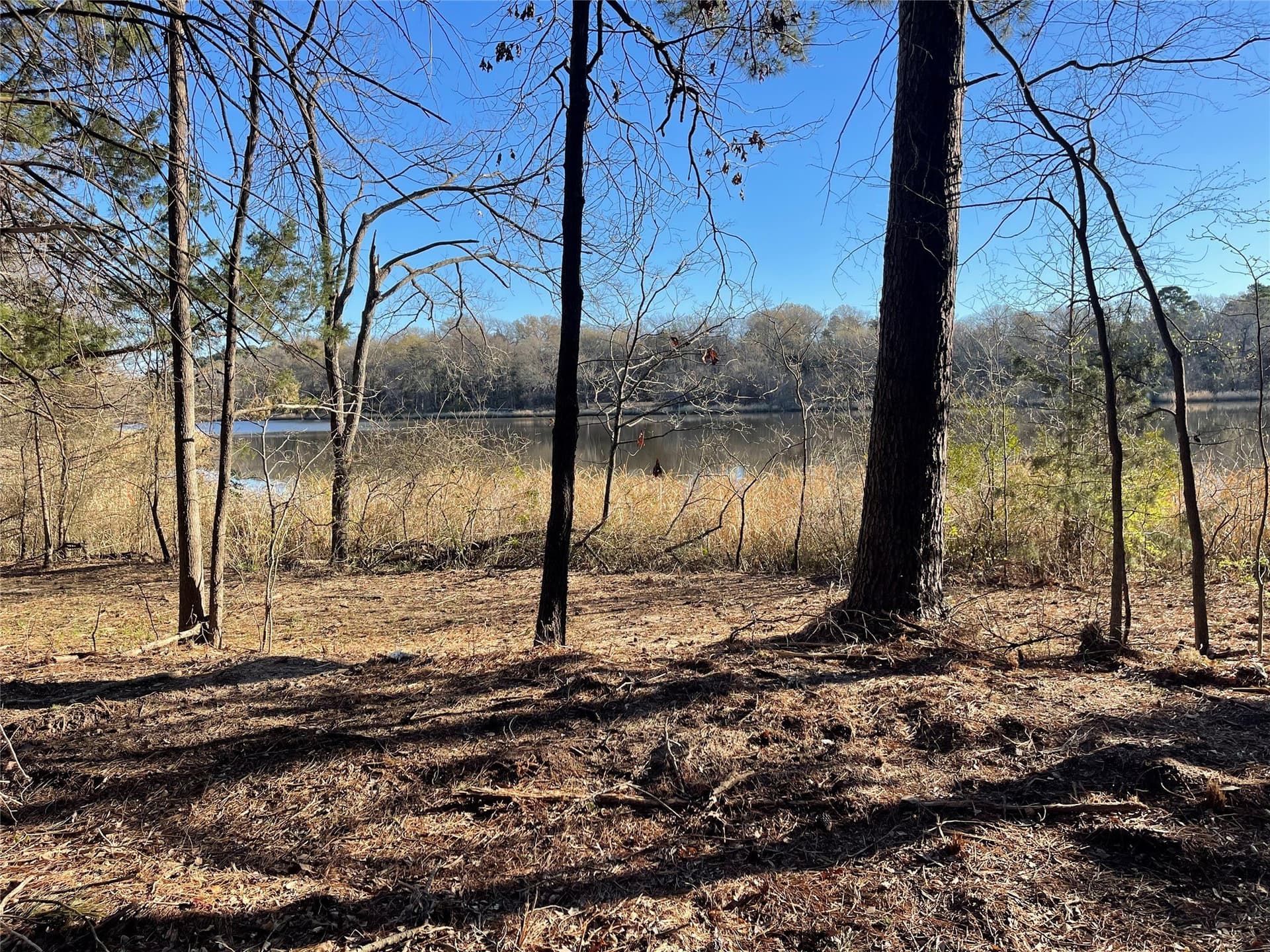 1.05 acres in Wood County - photo 8