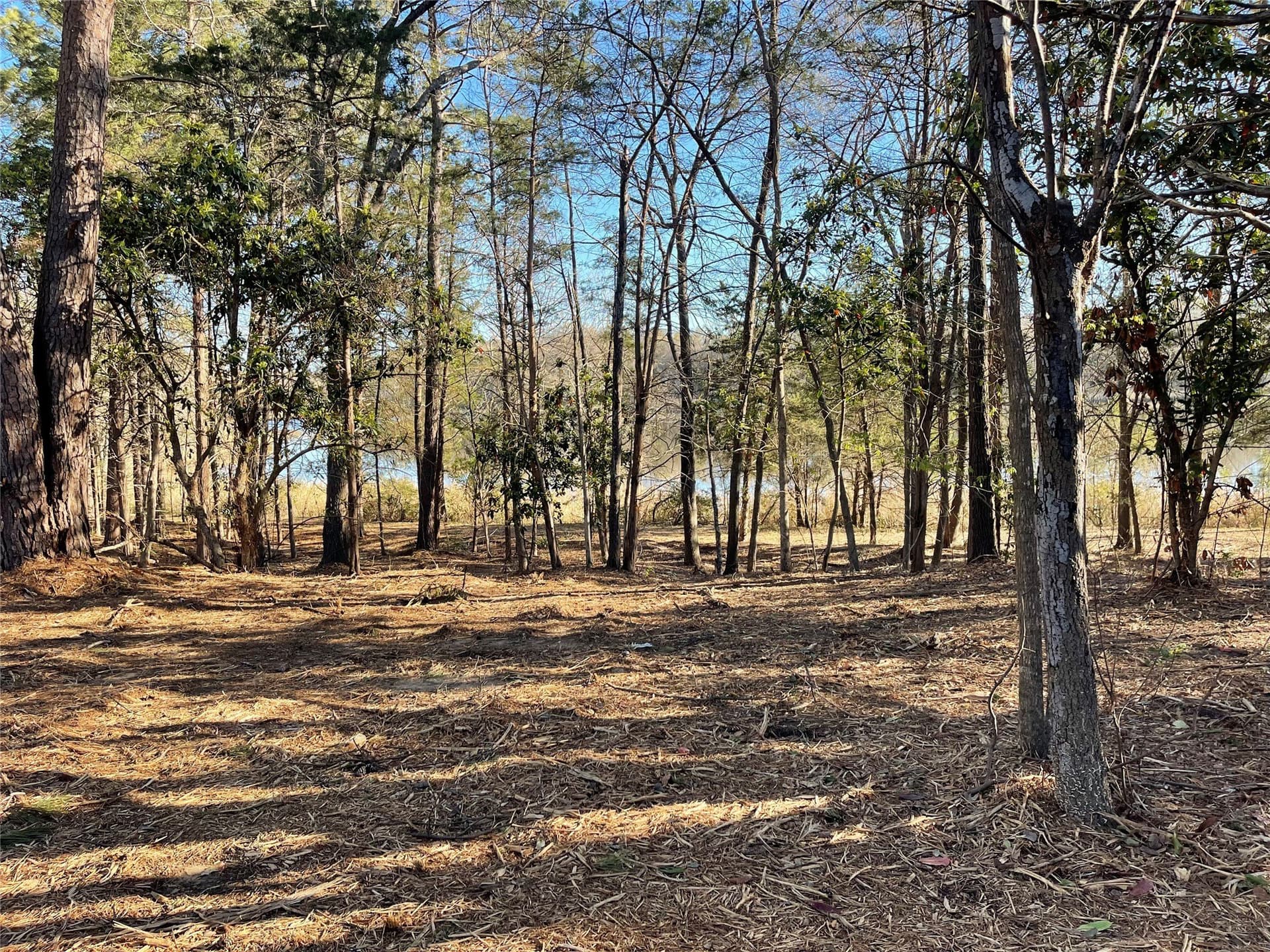 1.05 acres in Wood County - photo 27