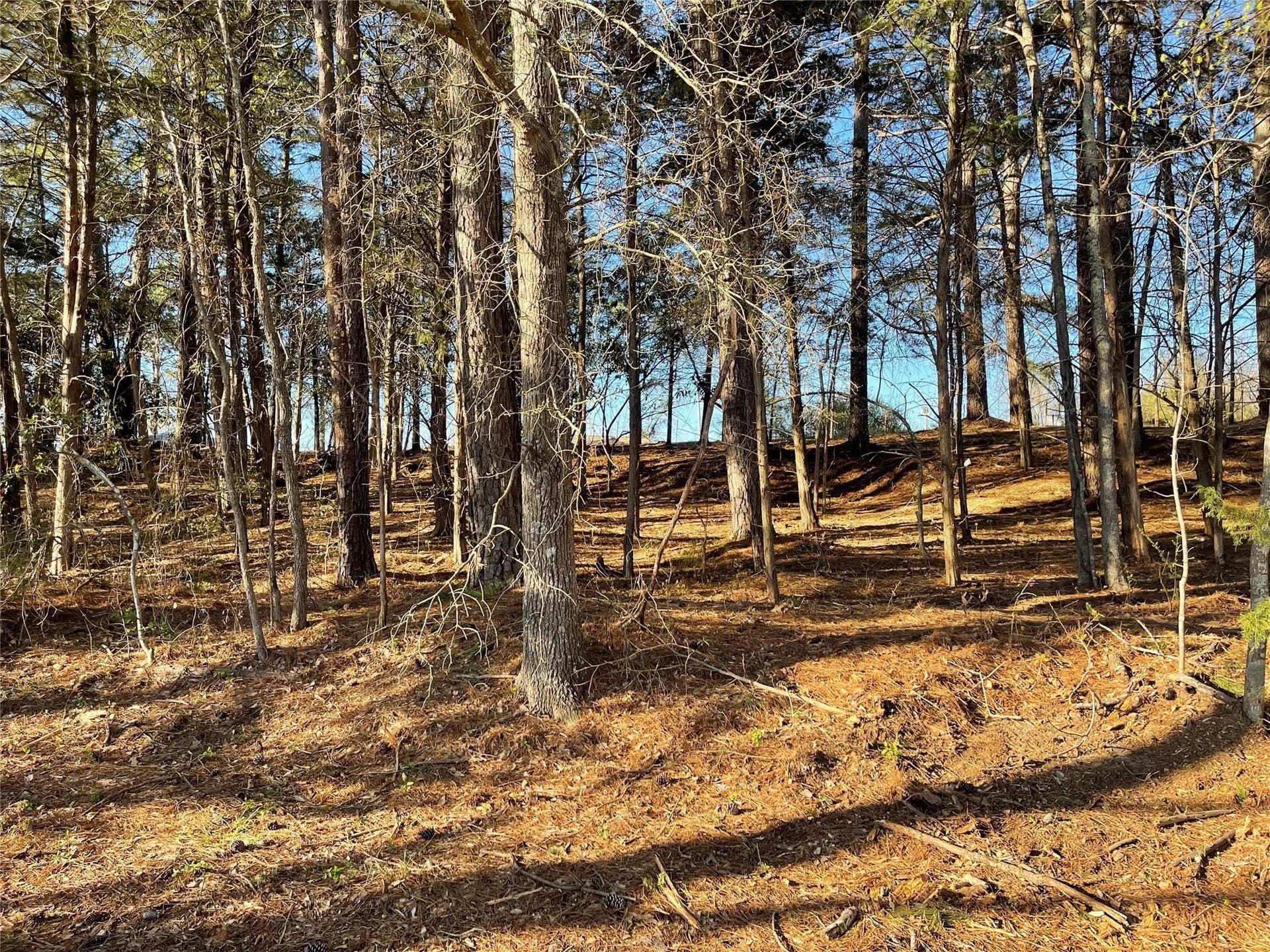 1.05 acres in Wood County - photo 26