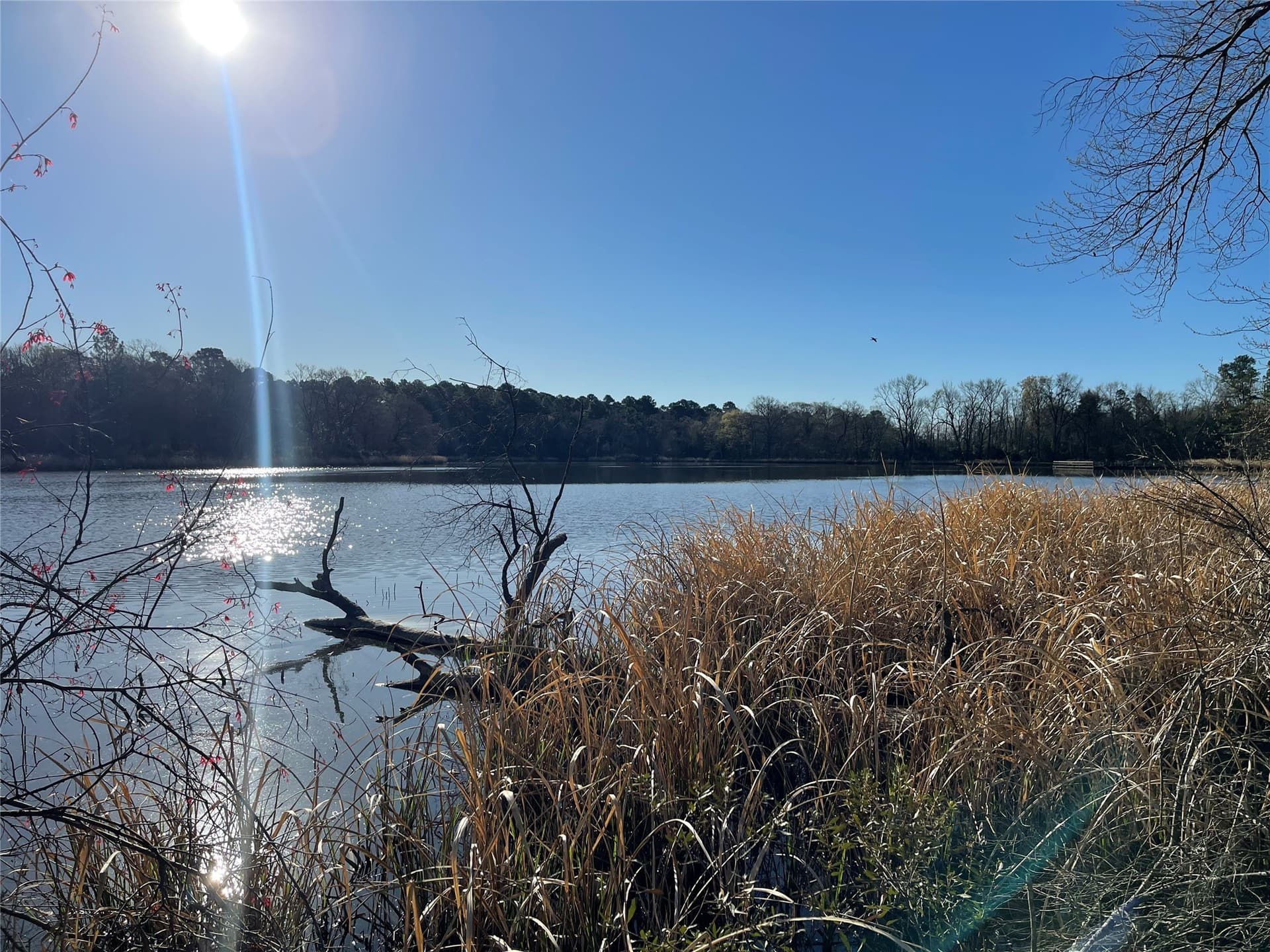 1.05 acres in Wood County - photo 31