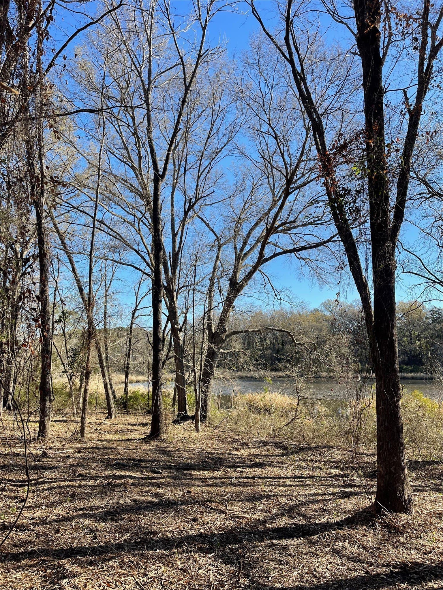 1.05 acres in Wood County - photo 30