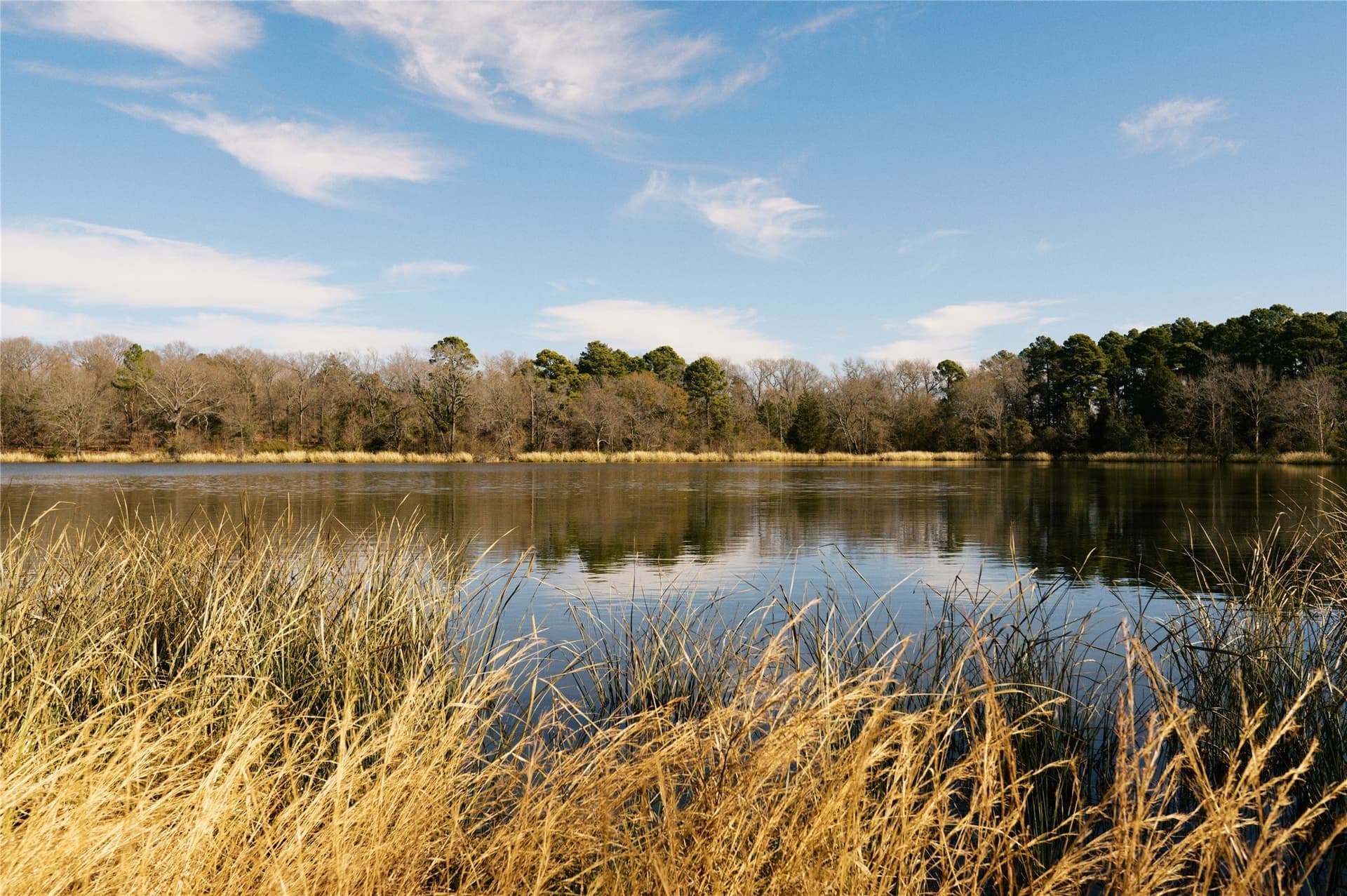 1.05 acres in Wood County - photo 14